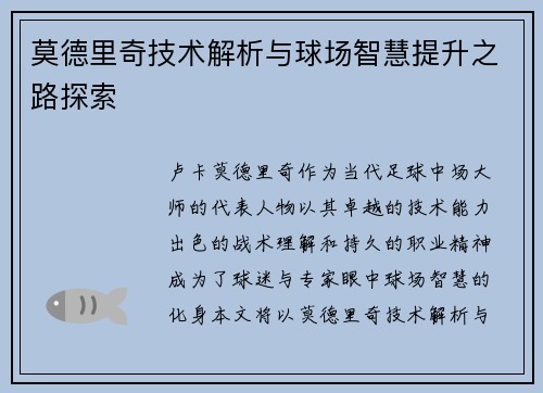 莫德里奇技术解析与球场智慧提升之路探索