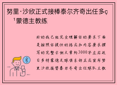 努里·沙欣正式接棒泰尔齐奇出任多特蒙德主教练